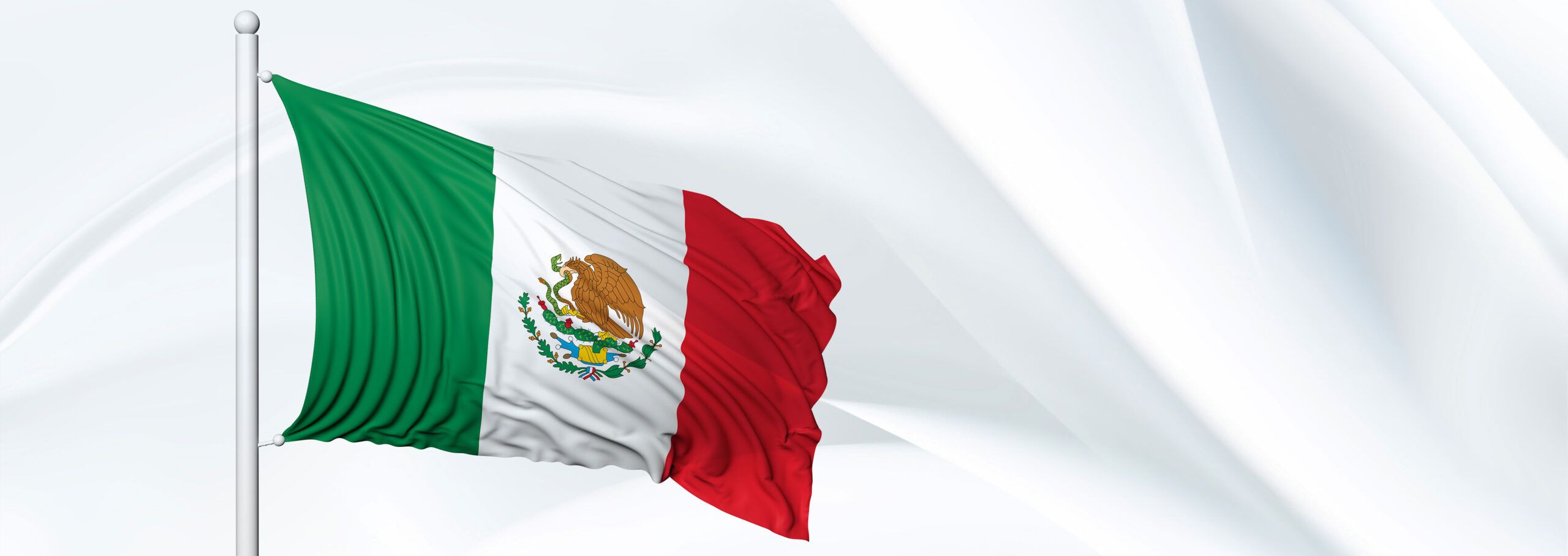 Banda de Guerra y banderas